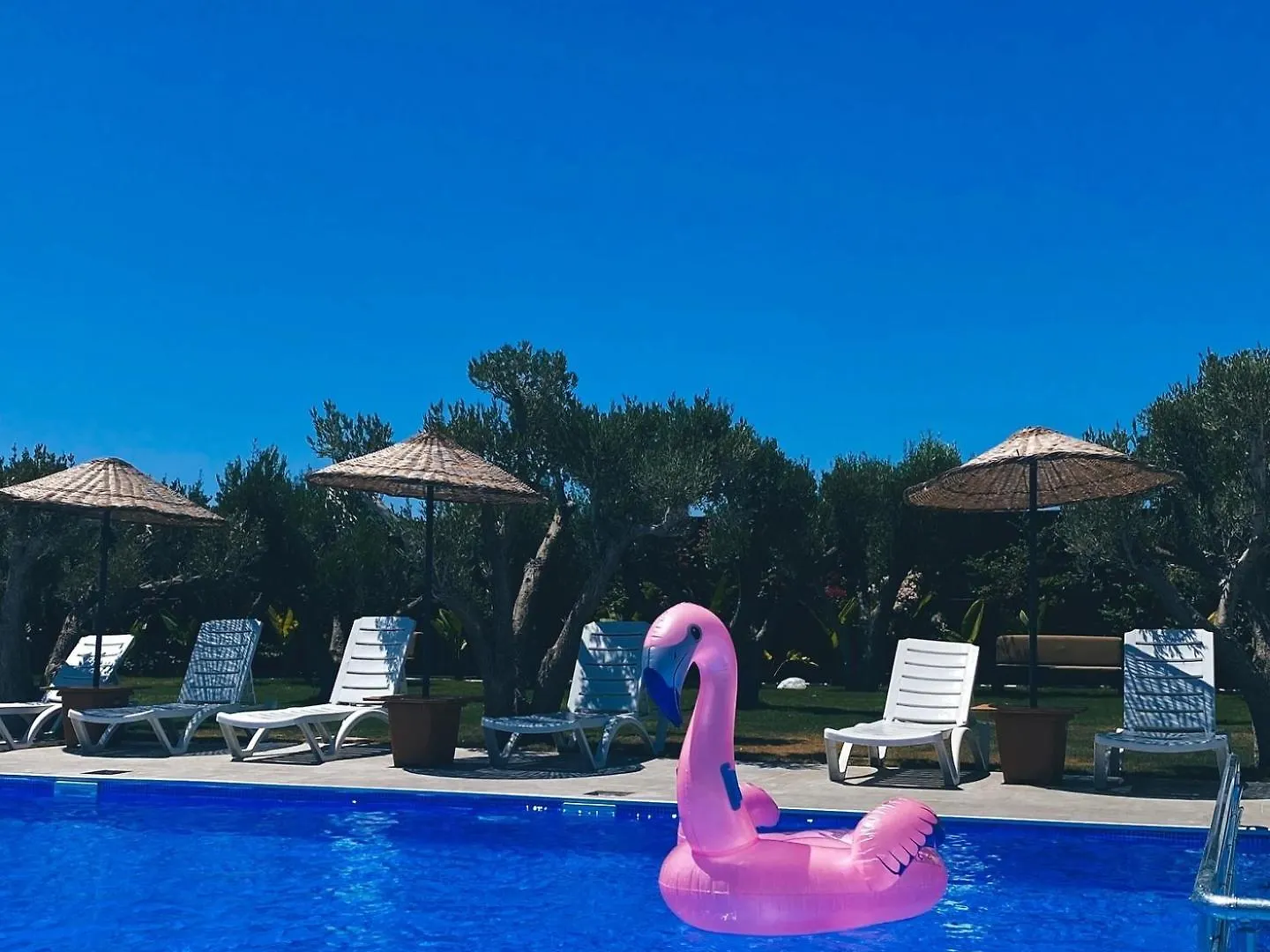 ホテル Flu Alacati Tiny House Otel Çeşme トルコ